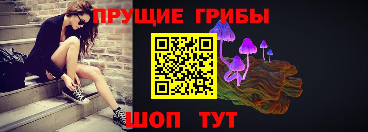 Псилоцибиновые грибы Cubensis Кострома